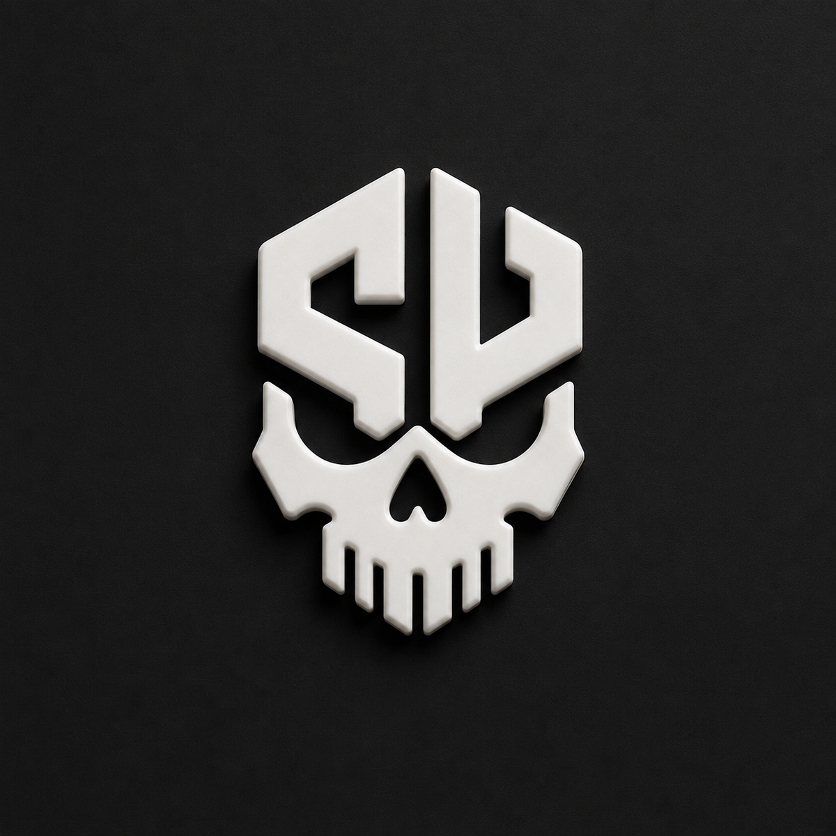 Snap Vault Logo Plate x2